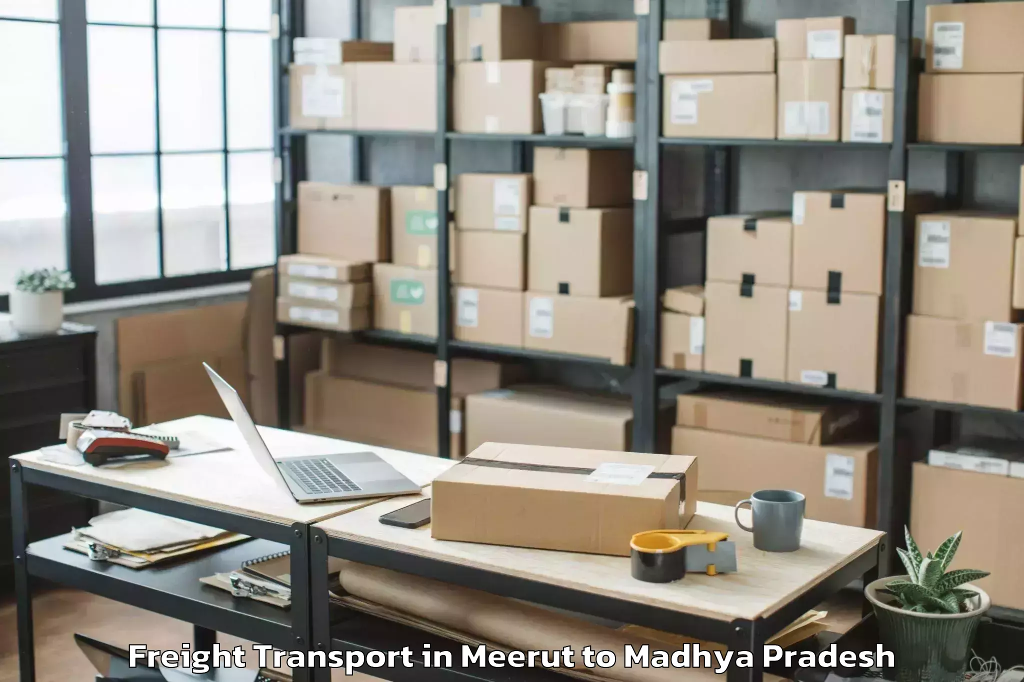 Meerut to Punasa Freight Transport